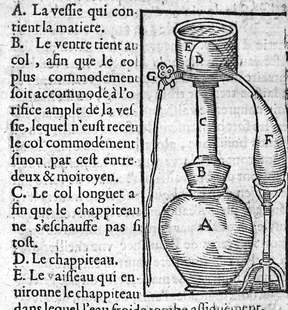 An illustration from Quatre livres des secrets de medecine et de la philosophie chimique, faicts françois par M. Jean Liebaut, 1579, leaf 194