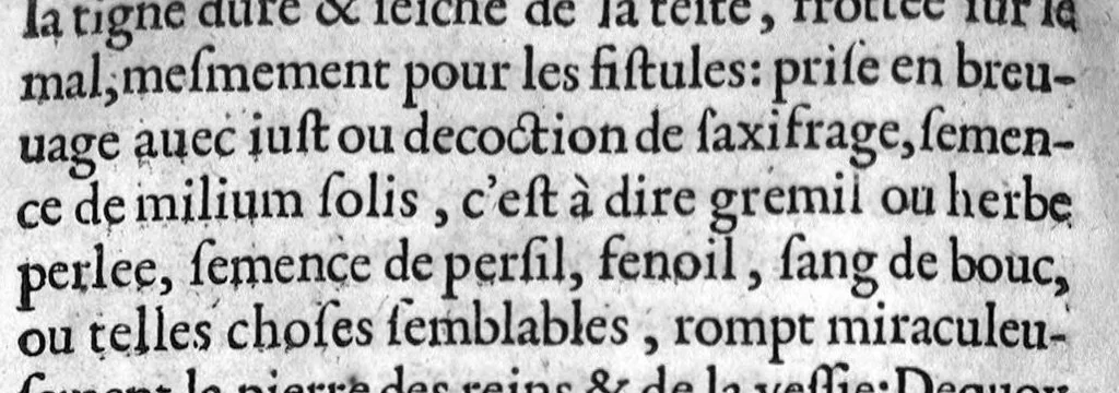 An illustration from Quatre livres des secrets de medecine et de la philosophie chimique, faicts françois par M. Jean Liebaut, 1579, leaf 473