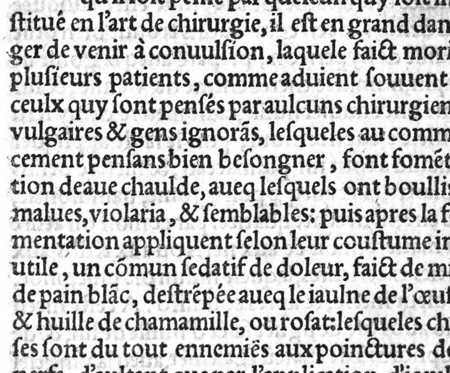 An illustration from La chirurgie militaire, tresutile a touts Chirurgiens : pincipalement à ceuls qui vœulent suivir ung camp, en temps de guerre. Pareillement à touts aultres, en condition Pestilente, ou dysenterique. Composée par maistre Nicolas Goddin, docteur en medecine, en la ville d’Arras. Translatée de Latin en François, par maistre Jaques Blondel, chirurgien à Lille,, 1553, leaf 108
