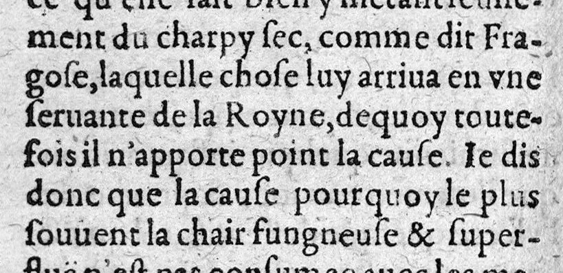An illustration from L’epitome des ulceres ou les recherches tant théorique que pratique sur icelles... tradui t d'espagnol en françois par Brice Gay,.., 1614, leaf 143