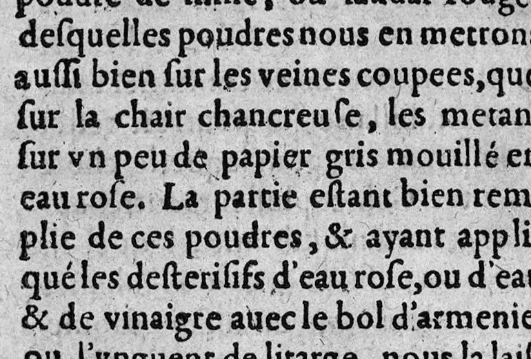 An illustration from L’epitome des ulceres ou les recherches tant théorique que pratique sur icelles... tradui t d'espagnol en françois par Brice Gay,.., 1614, leaf 317