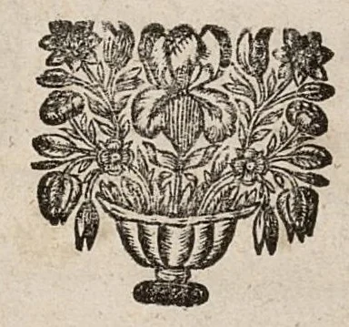 An illustration from Le parfait chirurgien d'armée, le traité des playes d'arquebusade, le chapitre singulier tiré de guidon..., 1696, leaf 192