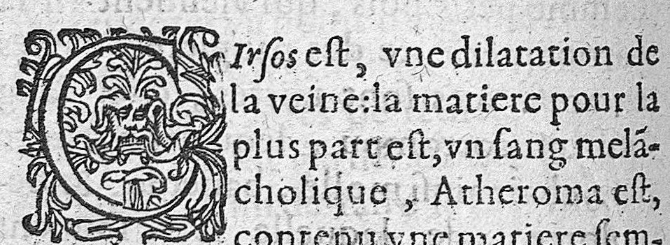 An illustration from Traité des maladies de l'oeil qui sont en nombre de cent treize, ausquelles il est suiect. Par Jacques Guillemeau, natif d’Orleans, chirurgien ordinaire du Roy, et juré à Paris ; A Monsieur Paré, Conseiller du Roy, son premier Chirurgien, 1585, leaf 139