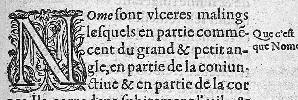 An illustration from Traité des maladies de l'oeil qui sont en nombre de cent treize, ausquelles il est suiect. Par Jacques Guillemeau, natif d’Orleans, chirurgien ordinaire du Roy, et juré à Paris ; A Monsieur Paré, Conseiller du Roy, son premier Chirurgien, 1585, leaf 168