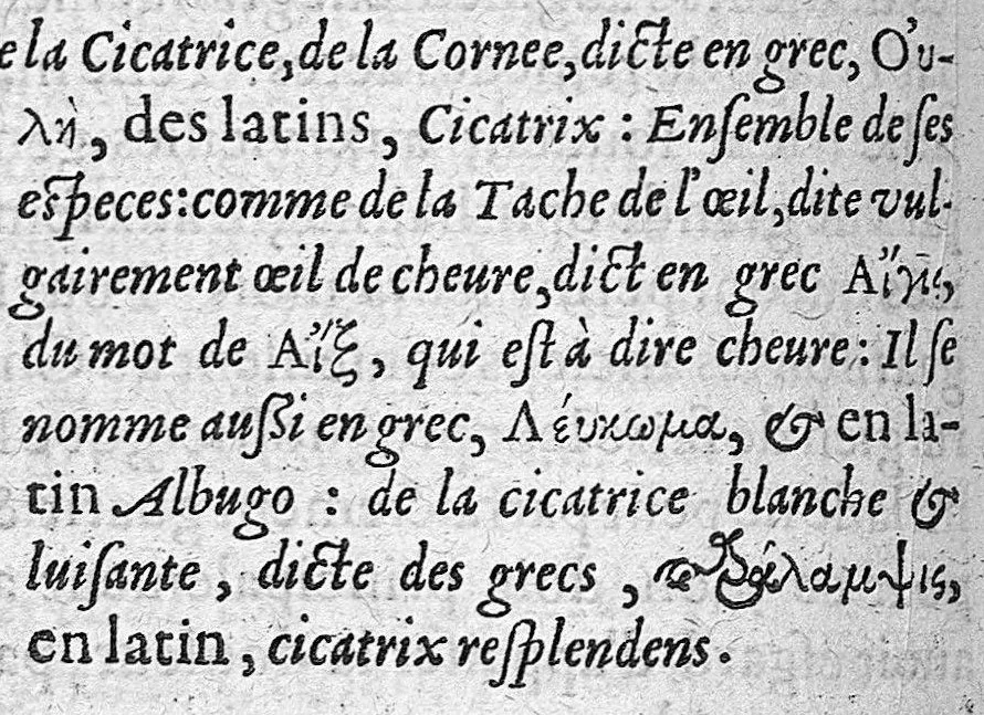 An illustration from Traité des maladies de l'oeil qui sont en nombre de cent treize, ausquelles il est suiect. Par Jacques Guillemeau, natif d’Orleans, chirurgien ordinaire du Roy, et juré à Paris ; A Monsieur Paré, Conseiller du Roy, son premier Chirurgien, 1585, leaf 171