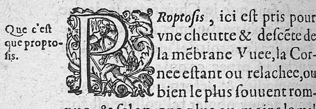 An illustration from Traité des maladies de l'oeil qui sont en nombre de cent treize, ausquelles il est suiect. Par Jacques Guillemeau, natif d’Orleans, chirurgien ordinaire du Roy, et juré à Paris ; A Monsieur Paré, Conseiller du Roy, son premier Chirurgien, 1585, leaf 179