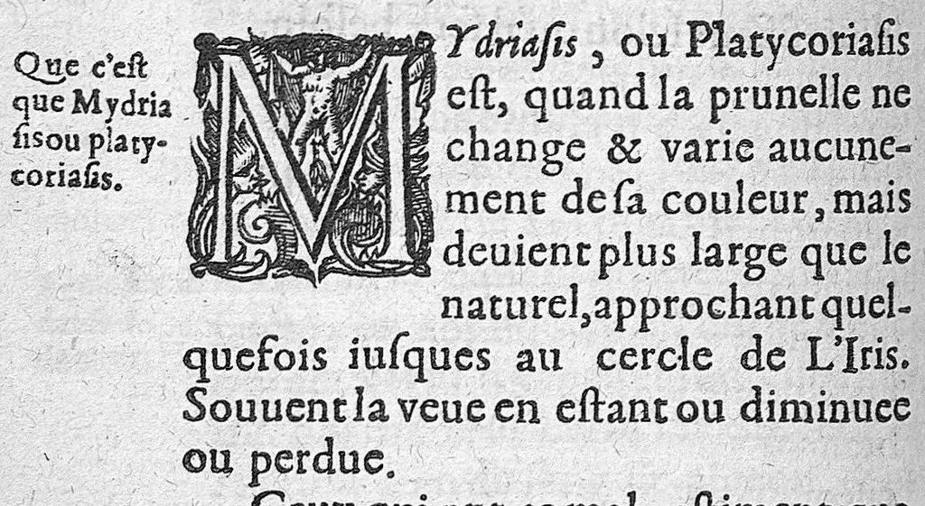 An illustration from Traité des maladies de l'oeil qui sont en nombre de cent treize, ausquelles il est suiect. Par Jacques Guillemeau, natif d’Orleans, chirurgien ordinaire du Roy, et juré à Paris ; A Monsieur Paré, Conseiller du Roy, son premier Chirurgien, 1585, leaf 185