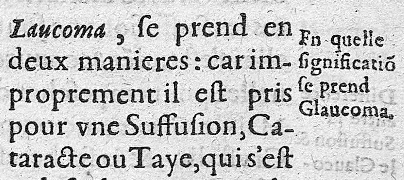 An illustration from Traité des maladies de l'oeil qui sont en nombre de cent treize, ausquelles il est suiect. Par Jacques Guillemeau, natif d’Orleans, chirurgien ordinaire du Roy, et juré à Paris ; A Monsieur Paré, Conseiller du Roy, son premier Chirurgien, 1585, leaf 204