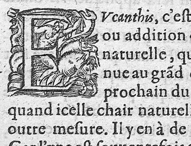 An illustration from Traité des maladies de l'oeil qui sont en nombre de cent treize, ausquelles il est suiect. Par Jacques Guillemeau, natif d’Orleans, chirurgien ordinaire du Roy, et juré à Paris ; A Monsieur Paré, Conseiller du Roy, son premier Chirurgien, 1585, leaf 215