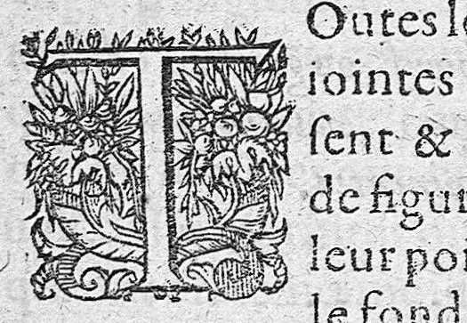 An illustration from Traité des maladies de l'oeil qui sont en nombre de cent treize, ausquelles il est suiect. Par Jacques Guillemeau, natif d’Orleans, chirurgien ordinaire du Roy, et juré à Paris ; A Monsieur Paré, Conseiller du Roy, son premier Chirurgien, 1585, leaf 56