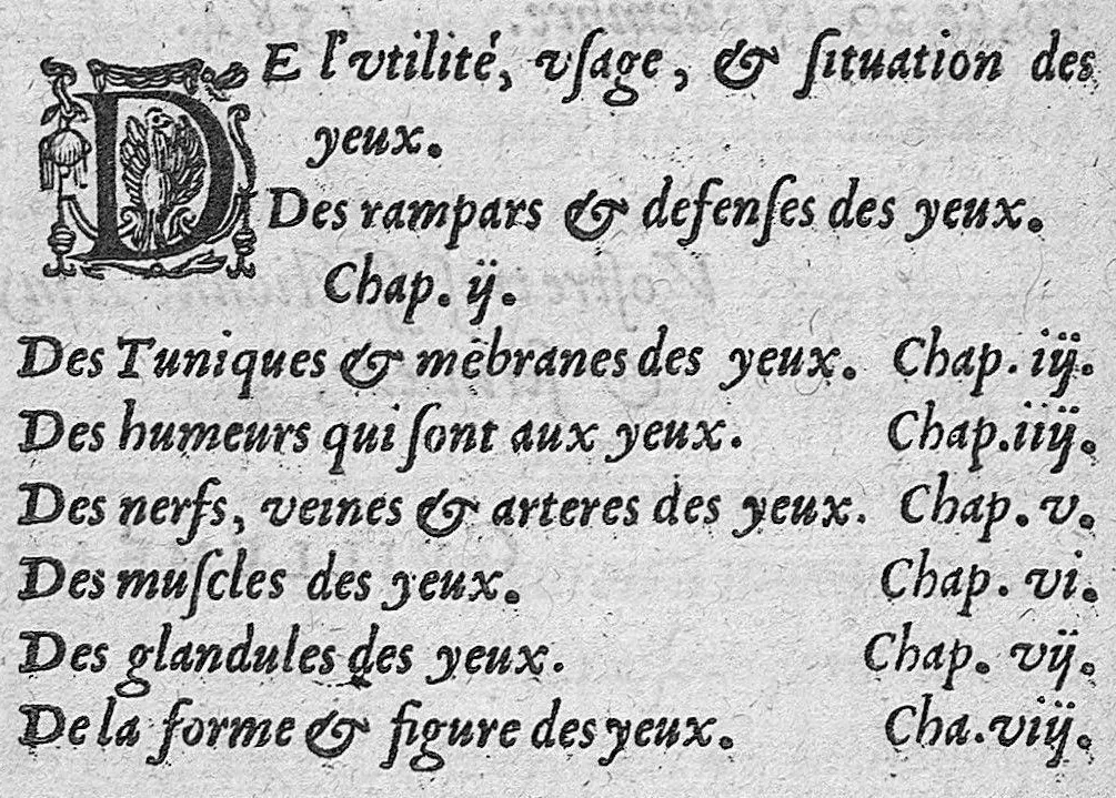 An illustration from Traité des maladies de l'oeil qui sont en nombre de cent treize, ausquelles il est suiect. Par Jacques Guillemeau, natif d’Orleans, chirurgien ordinaire du Roy, et juré à Paris ; A Monsieur Paré, Conseiller du Roy, son premier Chirurgien, 1585, leaf 7