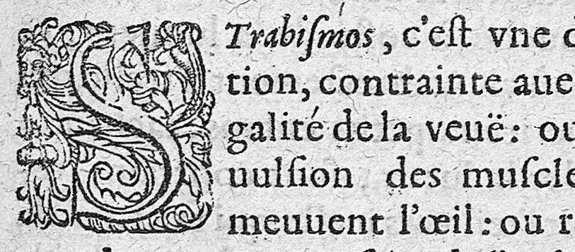 An illustration from Traité des maladies de l'oeil qui sont en nombre de cent treize, ausquelles il est suiect. Par Jacques Guillemeau, natif d’Orleans, chirurgien ordinaire du Roy, et juré à Paris ; A Monsieur Paré, Conseiller du Roy, son premier Chirurgien, 1585, leaf 92
