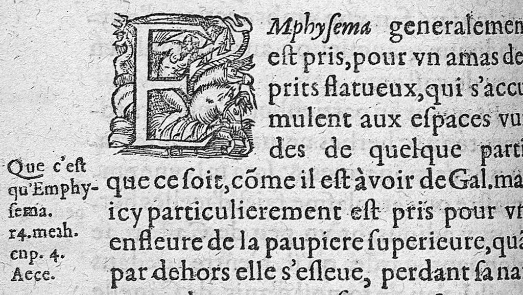 An illustration from Traité des maladies de l'oeil qui sont en nombre de cent treize, ausquelles il est suiect. Par Jacques Guillemeau, natif d’Orleans, chirurgien ordinaire du Roy, et juré à Paris ; A Monsieur Paré, Conseiller du Roy, son premier Chirurgien, 1585, leaf 99