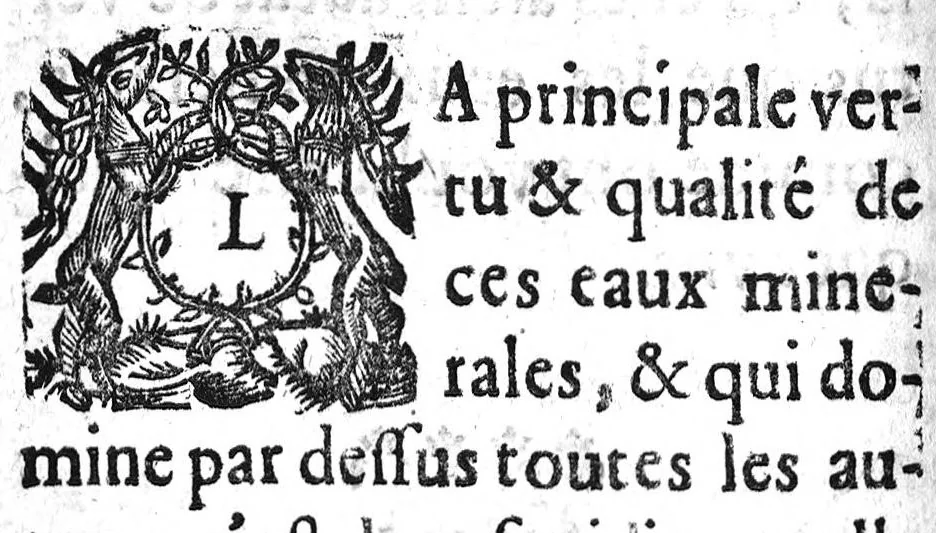 An illustration from De la nature et des vertus des eaux minérales de Dinan, des maladies auquelles elles peuvent donner soulagement ou incommodité, comme il le faut gouverner en les prenant, 1648, leaf 87
