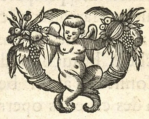 An illustration from Traité des hernies, ou descentes, contenant les causes, signes, accidens, remedes, & un avis aux hernieux, avec la maniere de bien faire & administrer les bandages d'acier & de fil de fer, 1665, leaf 19