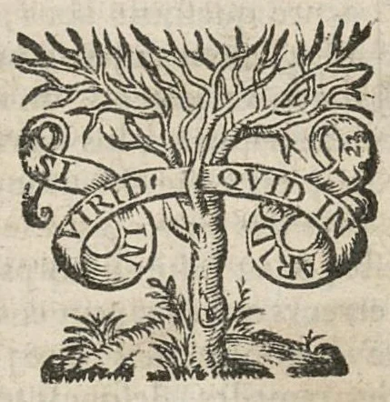 An illustration from La chirurgie pratique de Felix Wurtzius chirurgien très-habile, & très fameux à Basle. Nouvellement reveuë & corrigée, selon les manuscrits de l'auteur par Rudolfe Wurtzius,...traduite de l'alleman en françois par le sieur sauvin,..nouvelle edition, 1689, leaf 94