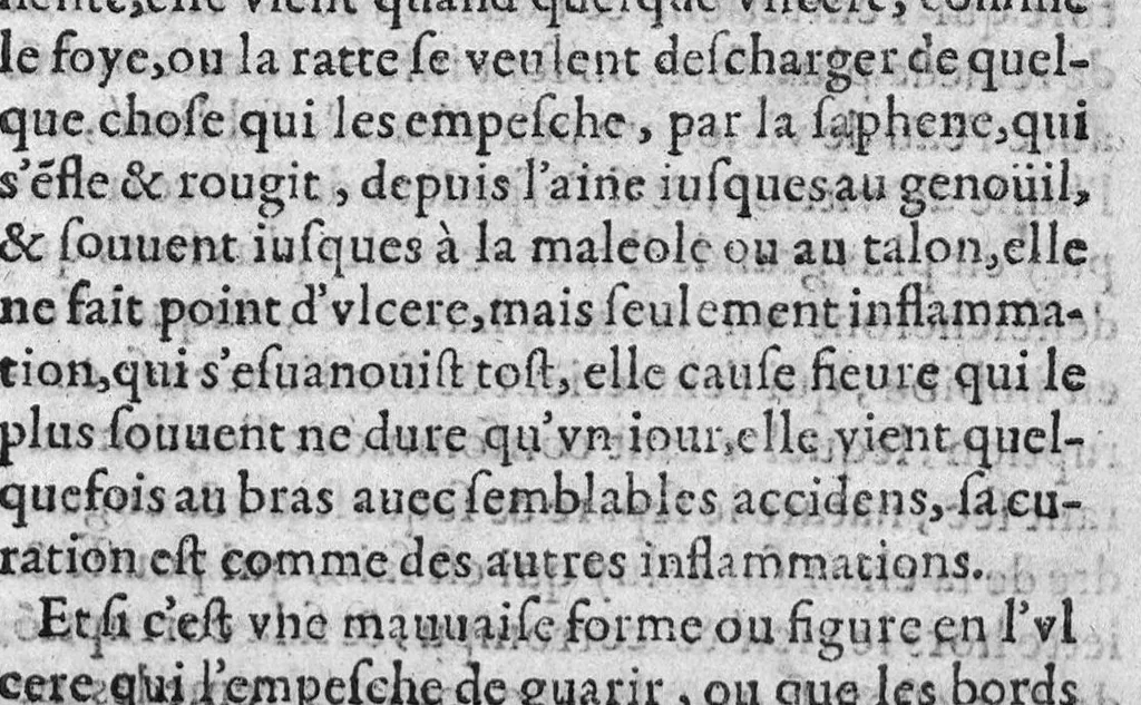 An illustration from Epitome des préceptes de medecine et chirurgie, avec amples des remedes propres aux maladies, 1619, leaf 462