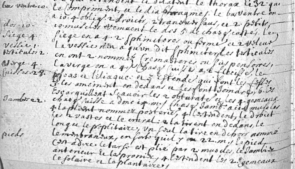 An illustration from Epitome des préceptes de medecine et chirurgie, avec amples des remedes propres aux maladies, 1619, leaf 505