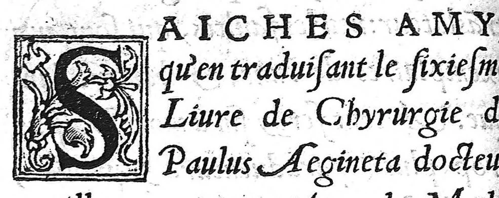 An illustration from La chirurgie de Paulus Aegineta. Qui est le sixiesme livre de ses Oeuvres. Item ung Opuscule de Galien, des tumeurs contre nature. Plus ung Opuscule dudict Galien, de la maniere de curer par abstraction de sang. Le tout traduict de Latin en Françoys par Maistre Pierre Tolet Medecin de l’Hospital de Lyon,, 1540, leaf 11