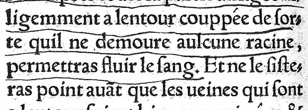 An illustration from La chirurgie de Paulus Aegineta. Qui est le sixiesme livre de ses Oeuvres. Item ung Opuscule de Galien, des tumeurs contre nature. Plus ung Opuscule dudict Galien, de la maniere de curer par abstraction de sang. Le tout traduict de Latin en Françoys par Maistre Pierre Tolet Medecin de l’Hospital de Lyon,, 1540, leaf 151
