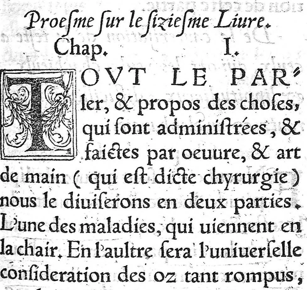 An illustration from La chirurgie de Paulus Aegineta. Qui est le sixiesme livre de ses Oeuvres. Item ung Opuscule de Galien, des tumeurs contre nature. Plus ung Opuscule dudict Galien, de la maniere de curer par abstraction de sang. Le tout traduict de Latin en Françoys par Maistre Pierre Tolet Medecin de l’Hospital de Lyon,, 1540, leaf 32