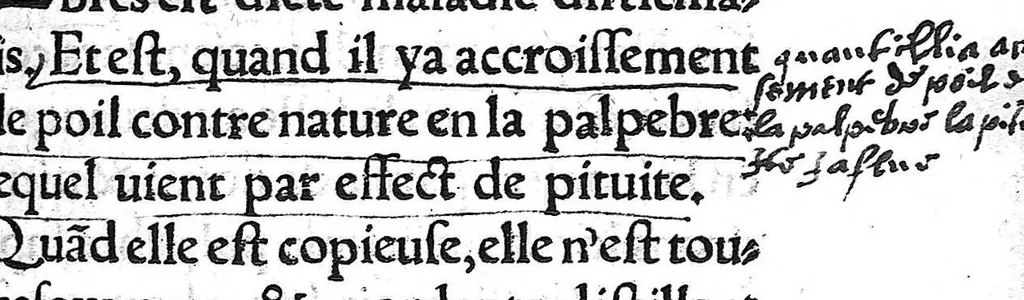 An illustration from La chirurgie de Paulus Aegineta. Qui est le sixiesme livre de ses Oeuvres. Item ung Opuscule de Galien, des tumeurs contre nature. Plus ung Opuscule dudict Galien, de la maniere de curer par abstraction de sang. Le tout traduict de Latin en Françoys par Maistre Pierre Tolet Medecin de l’Hospital de Lyon,, 1540, leaf 50