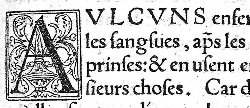 An illustration from La chirurgie de Paulus Aegineta. Qui est le sixiesme livre de ses Oeuvres. Item ung Opuscule de Galien, des tumeurs contre nature. Plus ung Opuscule dudict Galien, de la maniere de curer par abstraction de sang. Le tout traduict de Latin en Françoys par Maistre Pierre Tolet Medecin de l’Hospital de Lyon,, 1540, leaf 548