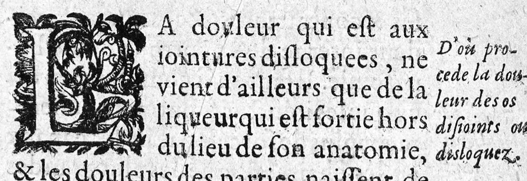 An illustration from La petite chirurgie autrement ditte La Bertheonee, ...plus les traittez du mesme autheur,...par Daniel Du Vivier, 1623, leaf 120