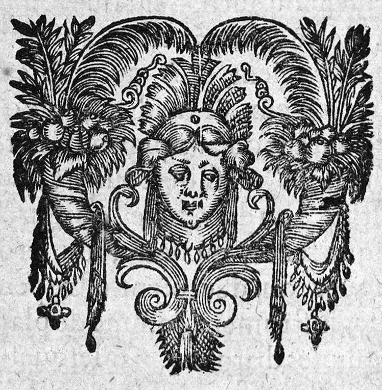 An illustration from La petite chirurgie autrement ditte La Bertheonee, ...plus les traittez du mesme autheur,...par Daniel Du Vivier, 1623, leaf 169