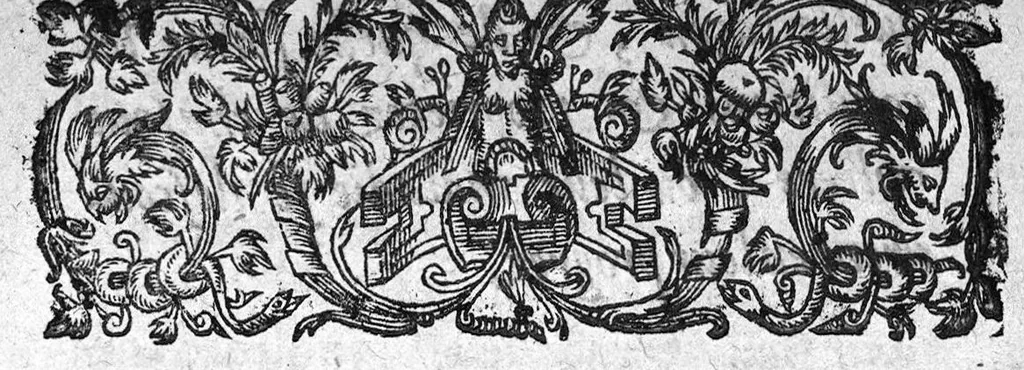 An illustration from La petite chirurgie autrement ditte La Bertheonee, ...plus les traittez du mesme autheur,...par Daniel Du Vivier, 1623, leaf 246