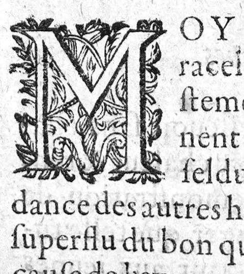 An illustration from La petite chirurgie autrement ditte La Bertheonee, ...plus les traittez du mesme autheur,...par Daniel Du Vivier, 1623, leaf 278