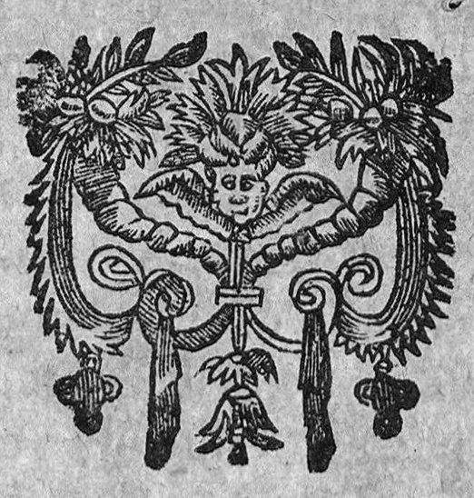 An illustration from La petite chirurgie autrement ditte La Bertheonee, ...plus les traittez du mesme autheur,...par Daniel Du Vivier, 1623, leaf 462