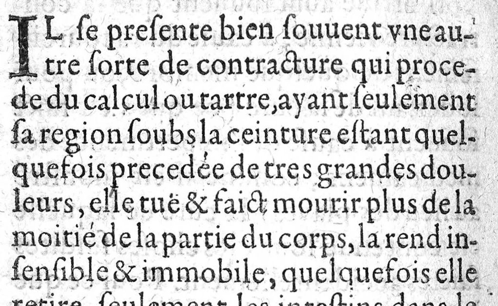 An illustration from La petite chirurgie autrement ditte La Bertheonee, ...plus les traittez du mesme autheur,...par Daniel Du Vivier, 1623, leaf 751