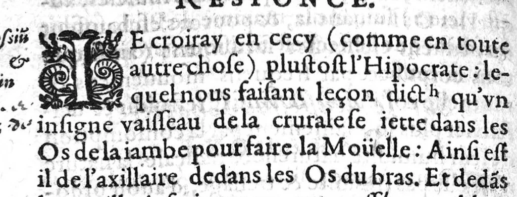 An illustration from Responce au Paradoxe de maistre Jacques de Marque ou il dict que la mouelle n’est pas la nourriture des os,, 1607, leaf 35