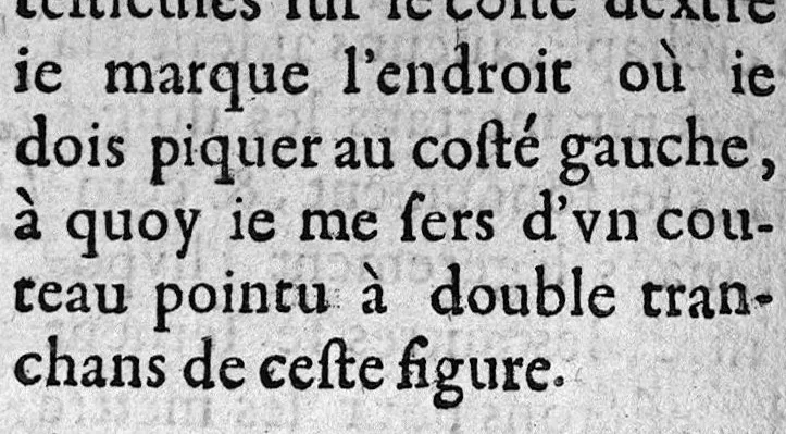 An illustration from Le chirurgien opérateur où il est traicté de l'excellence des hautes operations,..., 1633, leaf 89
