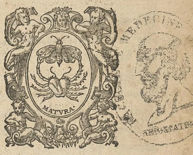 An illustration from Observations iatro-chirurgicales pleines de remarques curieuses, et entierement singuliez, 1639, leaf 0