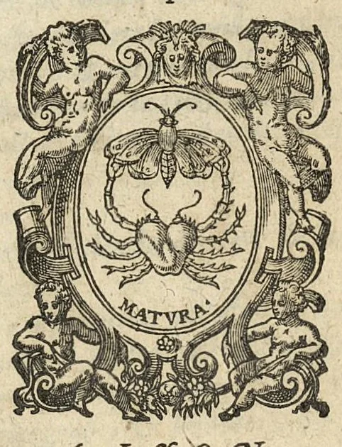 An illustration from Oeuvres chirurgicales, 1643, leaf 676