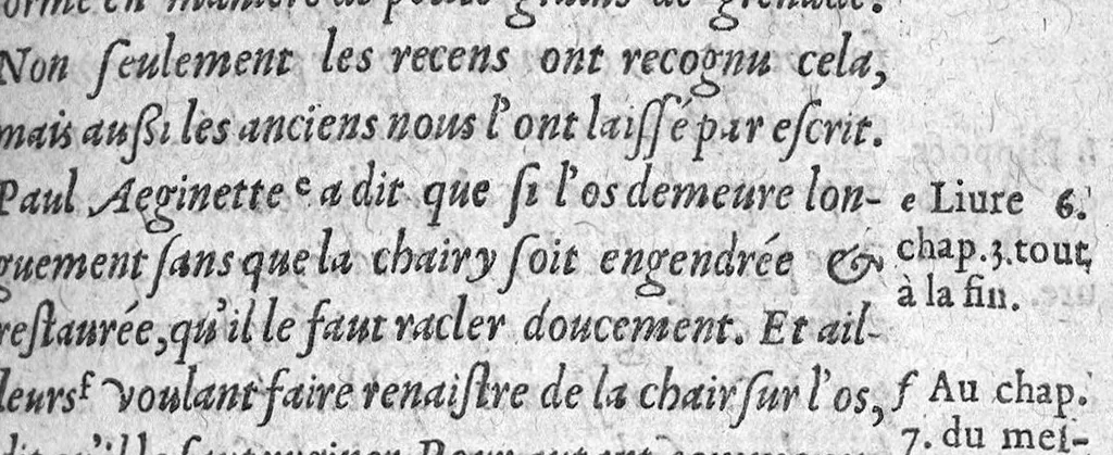 An illustration from Paradoxe ou traité medullaire auquel est amplement prouvé contre l’opinion commune & vulgaire que la moelle n’est pas la nourriture des os, 1609, leaf 194