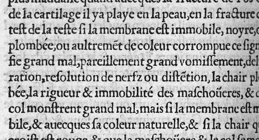 An illustration from Les Institutions chirurgiques de Jean Tagault,...nouvellement traduictes de latin en francoys..., 1549, leaf 584