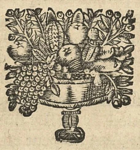An illustration from Les principes de la chirurgie, reduits par tables, avec leurs explications en faveur des aspirans audit art, 1673, leaf 133