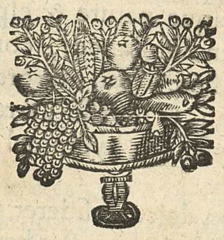 An illustration from Les principes de la chirurgie, reduits par tables, avec leurs explications en faveur des aspirans audit art, 1673, leaf 145