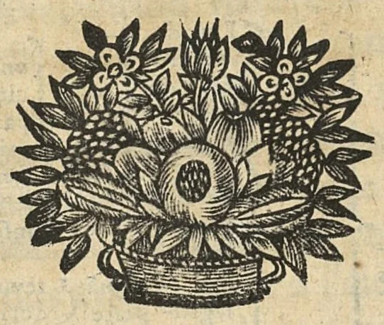 An illustration from Les principes de la chirurgie, reduits par tables, avec leurs explications en faveur des aspirans audit art, 1673, leaf 174