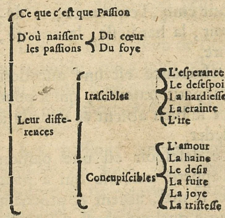 An illustration from Les principes de la chirurgie, reduits par tables, avec leurs explications en faveur des aspirans audit art, 1673, leaf 184