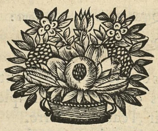 An illustration from Les principes de la chirurgie, reduits par tables, avec leurs explications en faveur des aspirans audit art, 1673, leaf 20