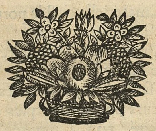 An illustration from Les principes de la chirurgie, reduits par tables, avec leurs explications en faveur des aspirans audit art, 1673, leaf 63
