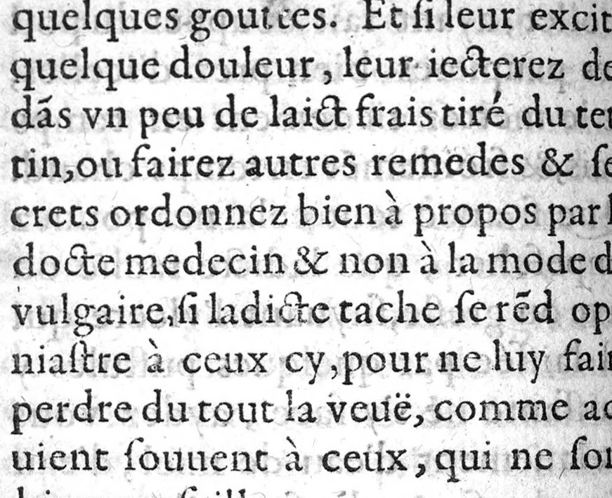 An illustration from Le chasse-vérole des petits enfans,, 1610, leaf 169