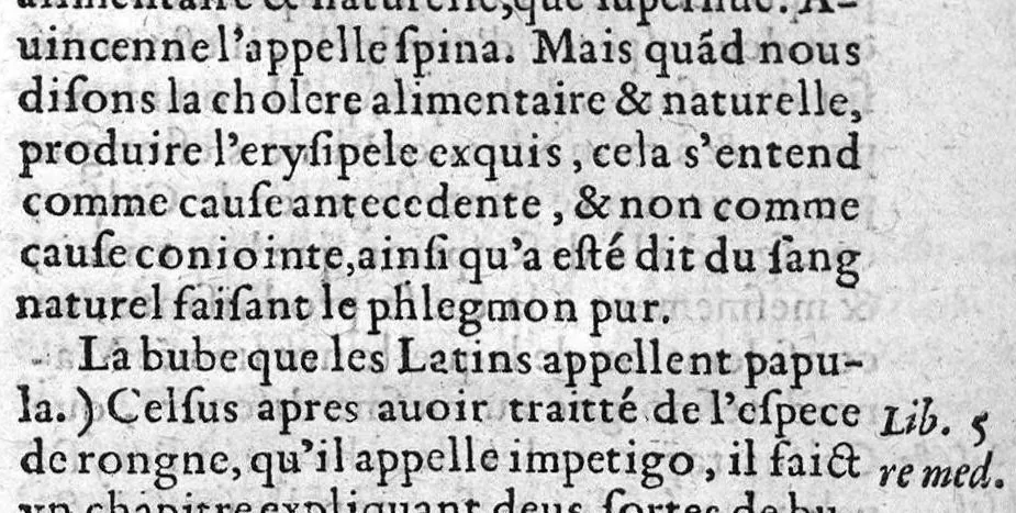 An illustration from La chirurgie de Fernel, translatee de Latin en François, illustree de briefves annotations et d’une Methode chiurgique par Simeon de Provanchieres, Medecin à Sens, et de Monseigneur l’Illustrissime et Reverendissime Cardinal de Guyse, Archevesque et Duc de Rheims, premier Pair de France, 1579, leaf 94