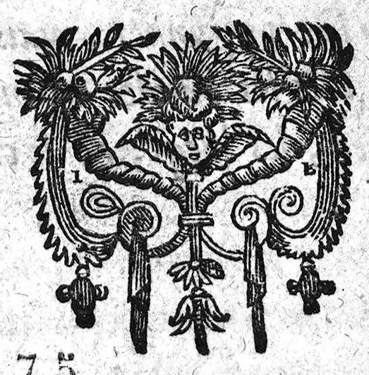 An illustration from Le guide des chirurgiens, fait en latin & redigé en trois livres ...translaté en latin par Germain Courtin..., 1619, leaf 0