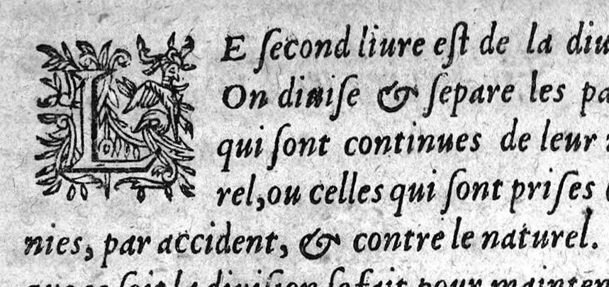 An illustration from Le guide des chirurgiens, fait en latin & redigé en trois livres ...translaté en latin par Germain Courtin..., 1619, leaf 133