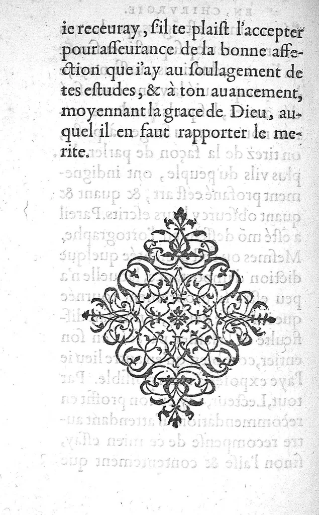 An illustration from Le sommaire de toute la chirurgie, contenant six livres. Composez en Latin par M. Estienne Gormelen Docteur en Medecine et traduitz en François par M. André Malesieu Chirurgien à Paris, 1571, leaf 17